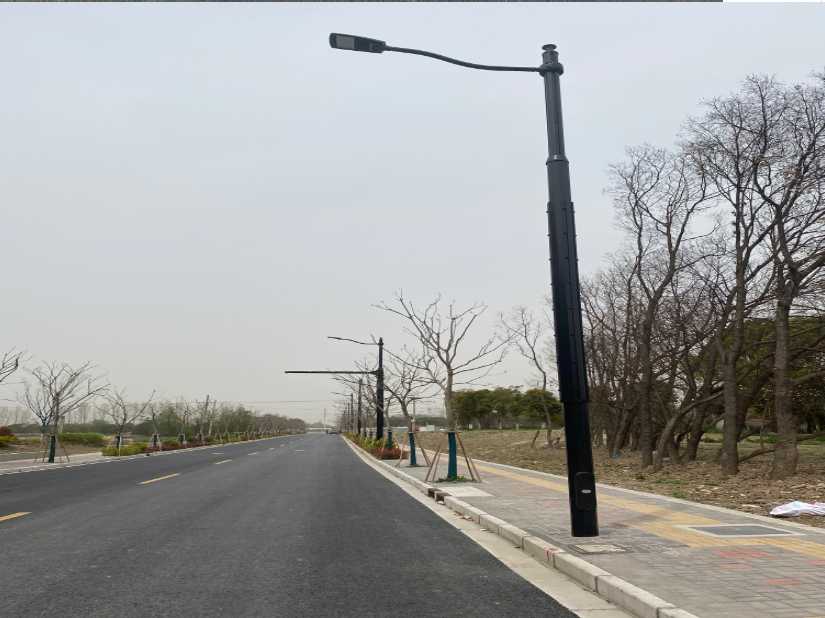 乐业县上海综合杆 太阳能路灯工程